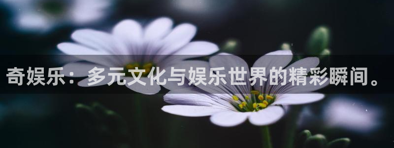 富联娱乐：奇娱乐：多元文化与娱乐世界的精彩瞬间。
