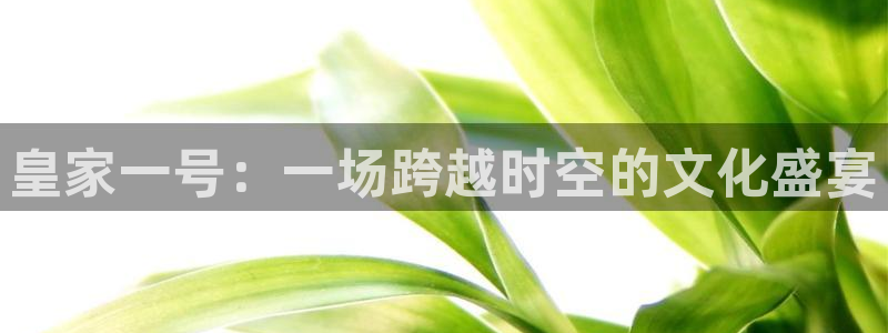 富联娱乐：皇家一号：一场跨越时空的文化盛宴