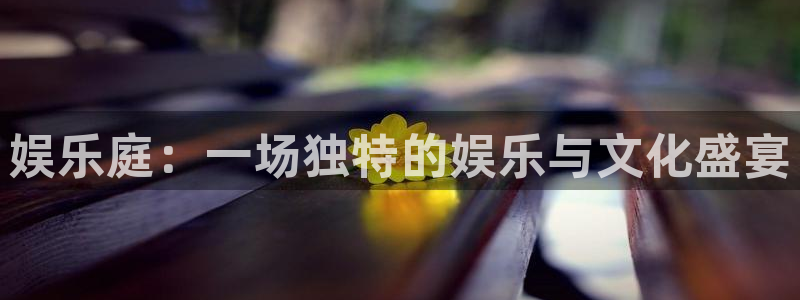 富联娱乐：娱乐庭：一场独特的娱乐与文化盛宴